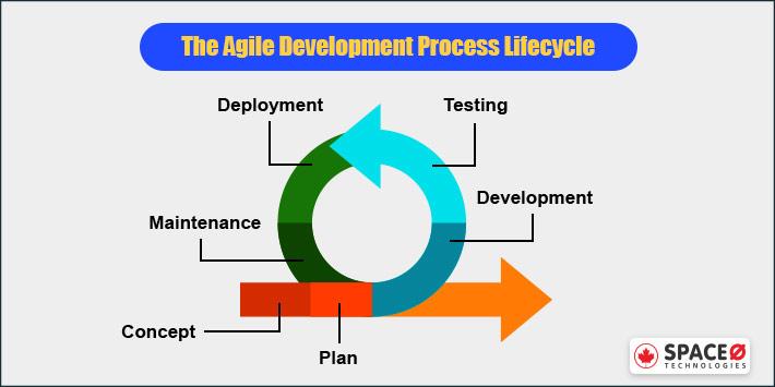 agile process lifecycle