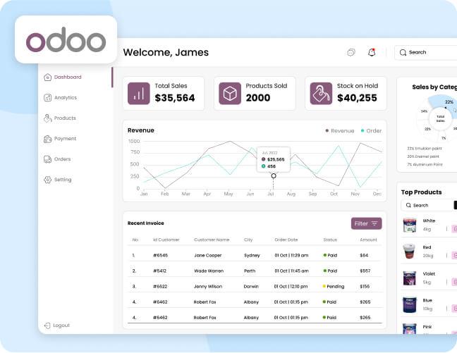 Odoo Implementation for the Paint Industry
