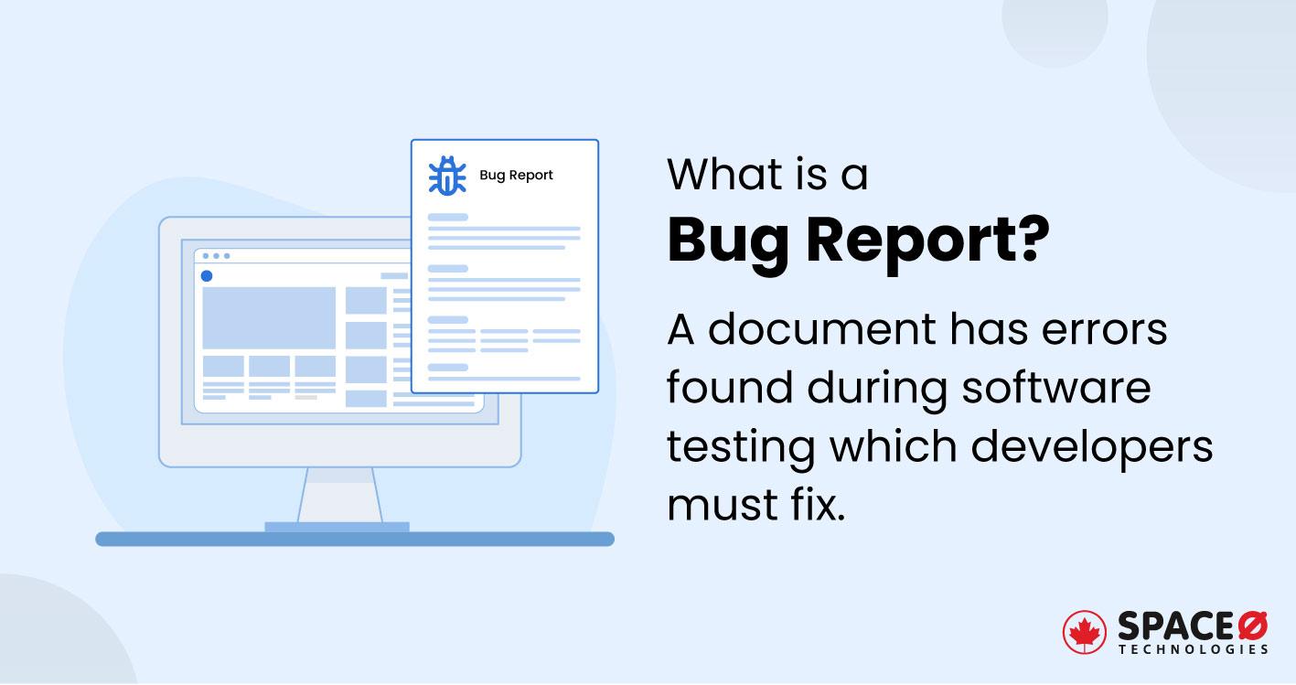 What-is-a-Bug-Report