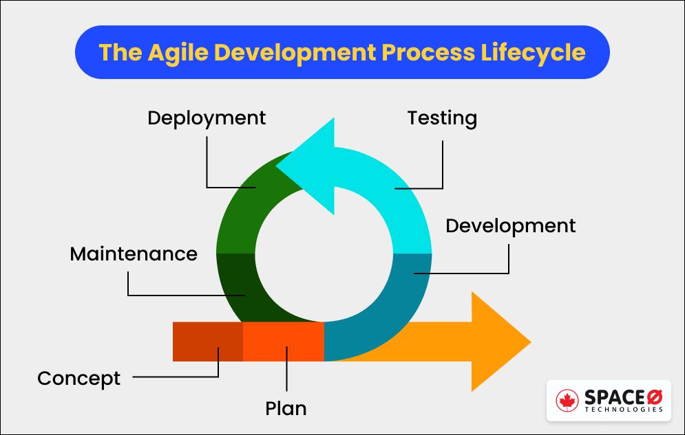 Software Development Process Life Cycle