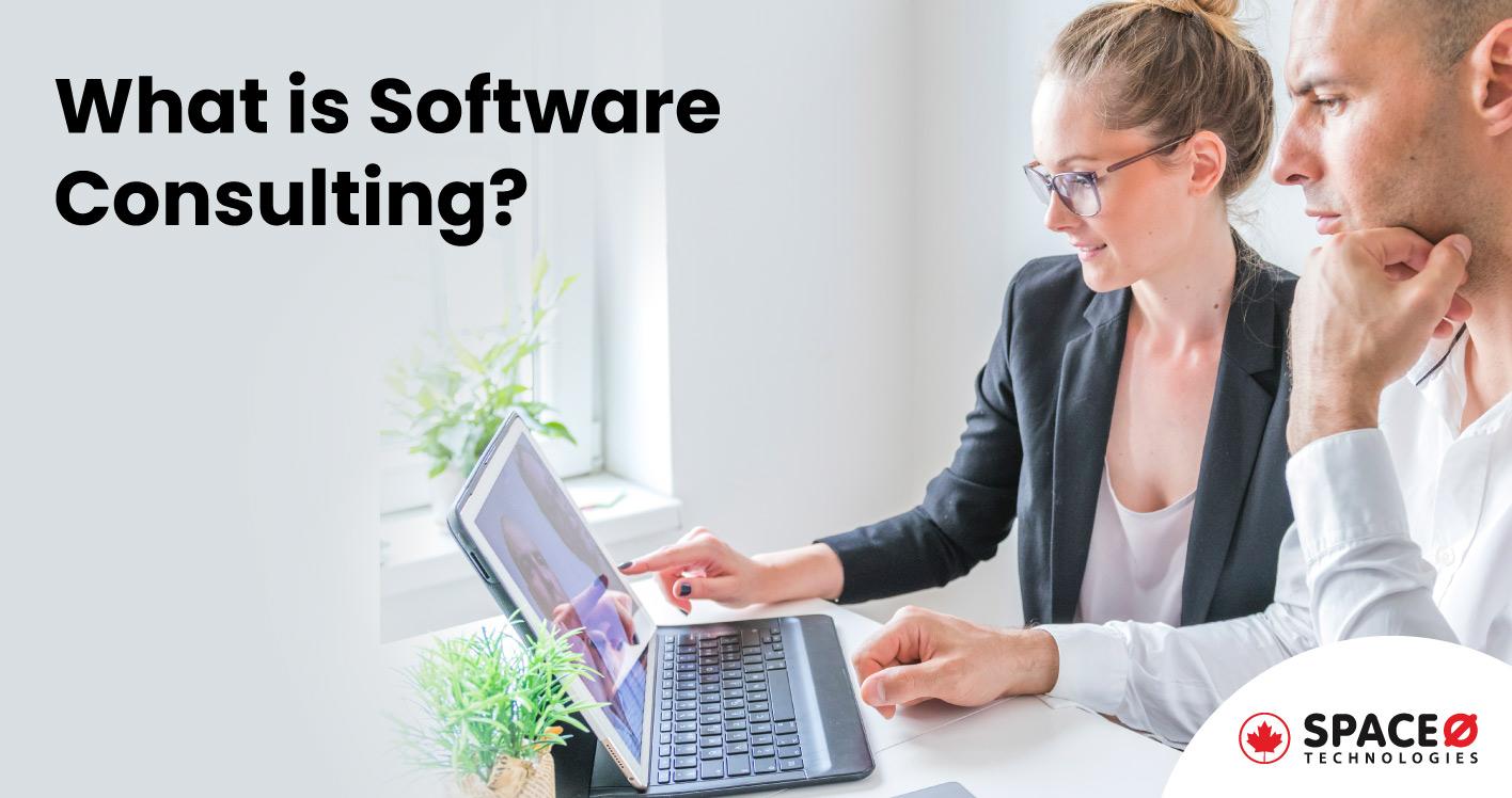 What-is-Software-Consulting