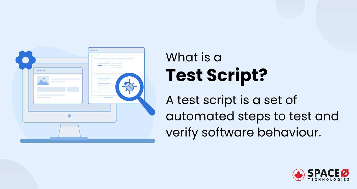 What is a Test Script